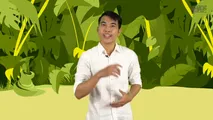 Video 6 Pelestarian Hewan dan Tumbuhan Langka