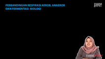 Perbandingan Respirasi Aerob, Anaerob, dan Fermentasi