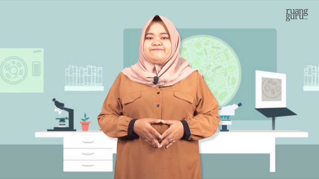 Video Belajar Reaksi Gelap Biologi Untuk Kelas 12 IPA