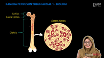 Rangka Penyusun Tubuh Aksial 1