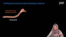 Reproduksi Seksual pada Serangga