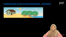 Sumber Daya Alam Hutan Mangrove