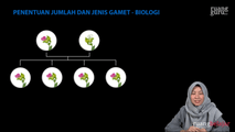 Penentuan Jumlah dan Jenis Gamet