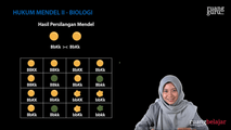 Hukum Mendel II