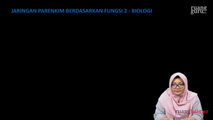 Berdasarkan Fungsi 2