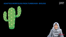 Adaptasi Morfologi pada Tumbuhan