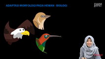 Adaptasi Morfologi pada Hewan