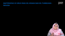 Bakteriofag vs Virus Sel Hewan dan Sel Tumbuhan