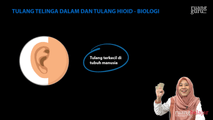 Tulang Telinga dalam dan Tulang Hioid