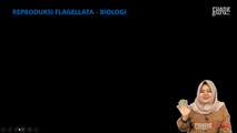 Reproduksi Flagellata