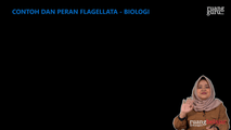 Contoh dan Peran Flagellata