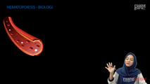 Hematopoiesis