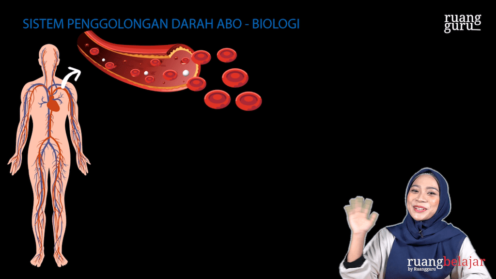 Video Belajar Sistem Penggolongan Darah Abo Biologi Untuk Kelas 11