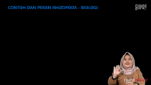 Contoh dan Peran Rhizopoda