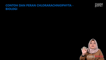 Contoh dan Peran Chlorarachniophyta