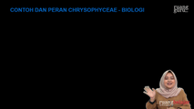 Contoh dan Peran Chrysophyceae