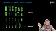 Gen pada Kromosom Tubuh (Autosom)