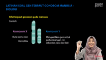 Latihan Soal Gen Terpaut Gonosom Manusia