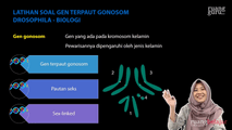 Latihan Soal Gen Terpaut Gonosom Drosophila