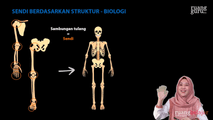 Tipe Sendi berdasarkan Struktur