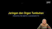 Video 3 Jaringan dan Organ Tumbuhan