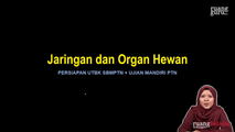 Video 4 Jaringan dan Organ Hewan