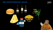 Jenis-jenis Bioteknologi