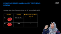 Pewarisan Golongan Darah Sistem Rhesus