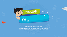 Review Saluran dan Kelenjar Pencernaan