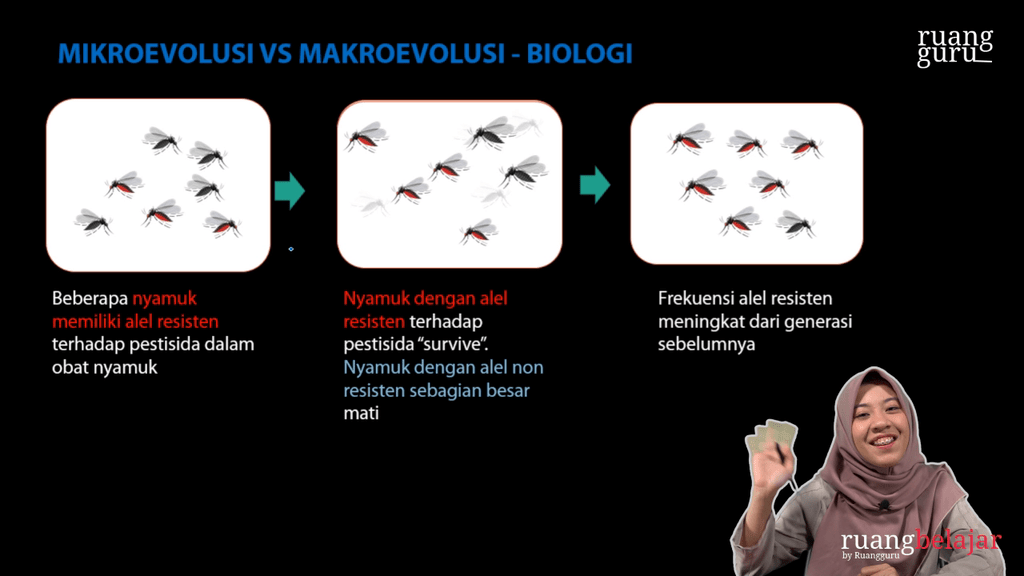 Video belajar Mikroevolusi vs Makroevolusi Biologi untuk Kelas 12 IPA