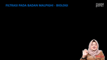 Filtrasi pada Badan Malphigi