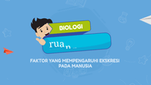 Faktor yang Memengaruhi Ekskresi pada Manusia