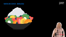 Nata de Coco