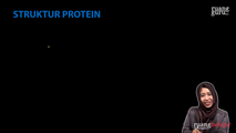 Struktur Protein