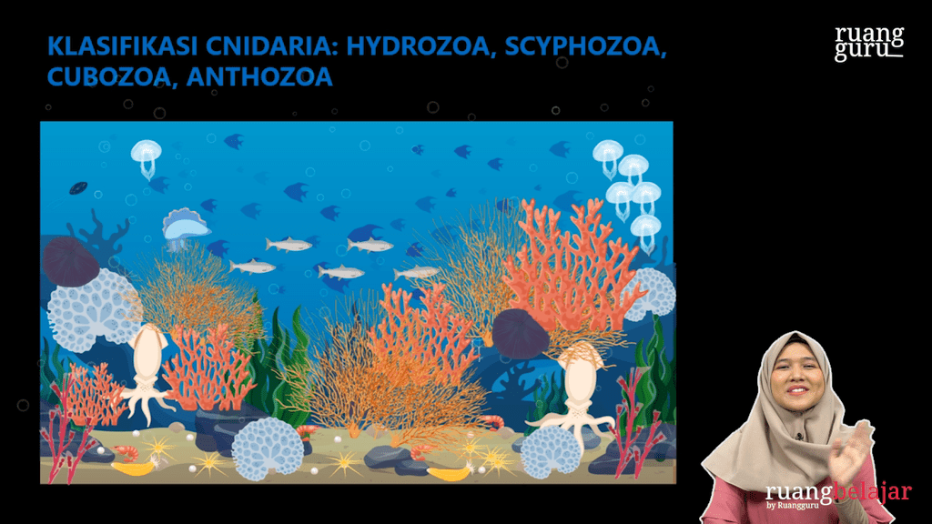 Video Belajar Klasifikasi Cnidaria Scyphozoa Hydrozoa Cubozoa