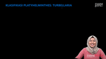 Klasifikasi Platyhelminthes - Turbellaria