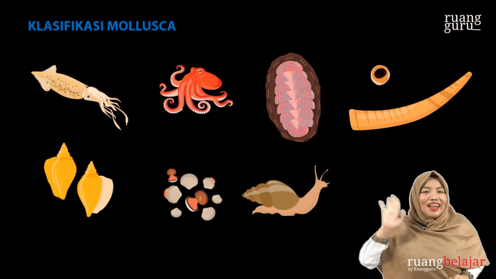 Tinta anggota mempunyai cairan adalah dikenal filum mollusca yang Pengertian Mollusca