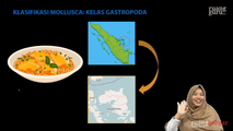 Klasifikasi Mollusca - Gastropoda