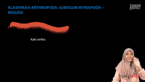 Klasifikasi Arthropoda - Subfilum Myriapoda