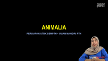 Video 13 Animalia