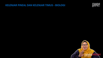 Kelenjar Pineal dan Timus