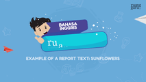 Example of a Report Text - Sunflowers