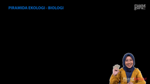 Piramida Ekologi