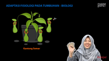 Adaptasi Fisiologi pada Tumbuhan