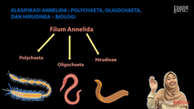 Klasifikasi Annelida - Polychaeta, Oligochaeta, dan Hirudinea