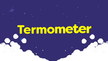 Termometer