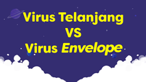 Virus Telanjang vs Virus Envelope