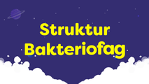 Struktur Bakteriofag