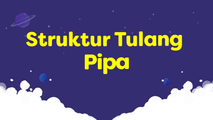 Struktur Tulang Pipa