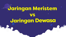 Jaringan Meristem vs Jaringan Dewasa